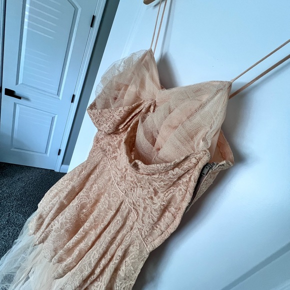 Vintage Lace blush 50s Tulle Circle bustier Dress - Picture 10 of 11